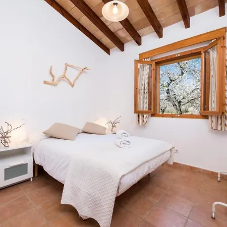 Yourhouse Lemontree - Antic *