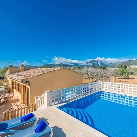 Yourhouse Lemontree - Antic