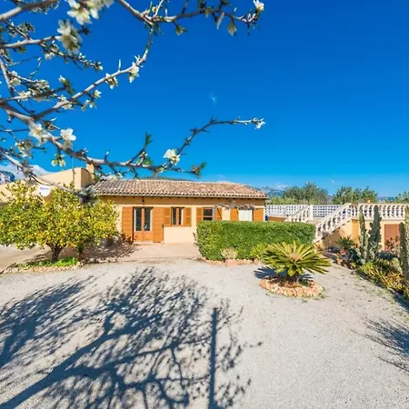 Yourhouse Lemontree - Antic Lloseta