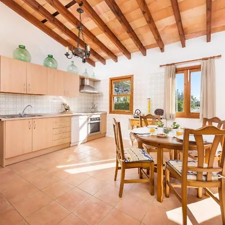 Yourhouse Lemontree - Antic *